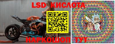 гашик Малоярославец